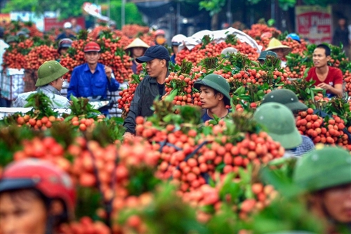 Tìm chỗ đứng cho nông sản Việt