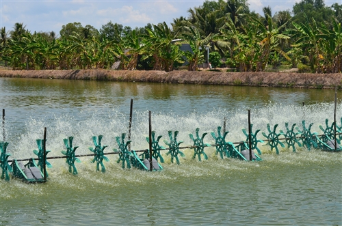 Nghiên cứu những thách thức về nước ở Đồng bằng Sông Cửu Long